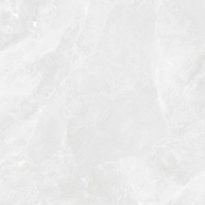 Regnum Bianco Керамогранит светло-серый CR6060G0391R 59,5х59,5 матовый