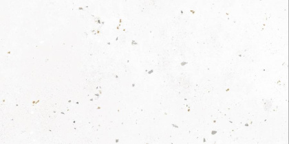 Керамогранит G-40/AMR/300x600x9 GRASARO 30х60