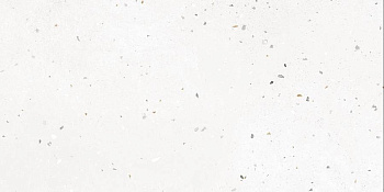 Керамогранит G-40/MR/300x600x9 GRASARO 30х60