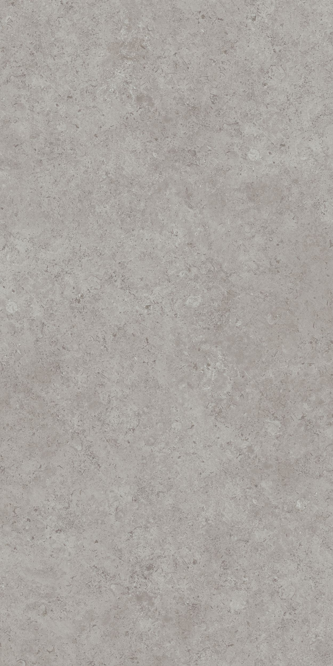 Керамогранит DD590600R Про лаймстоун АТ серый (238,5см*119,5см*11мм) (15шт/42,751м2) камень, м2