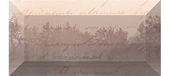 Classics Бордюр рельефный br1020D199-1 20х10