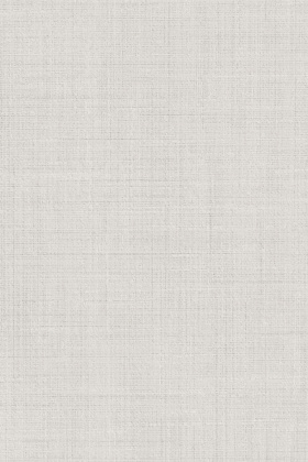 Спинелли серый светлый матовый 20x30x0,69 Спинелли серый светлый матовый 20x30x0,69