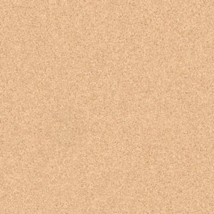 Линолеум Tarkett Primo Plus 304