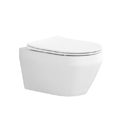 Подвесной унитаз Акватек Лея AQ1199-00 Подвесной унитаз Акватек Лея AQ1199-00