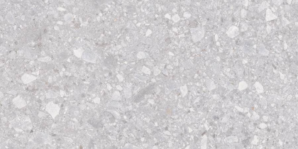 Matrix Керамогранит светло-серый K952681R0001LPER 60х120