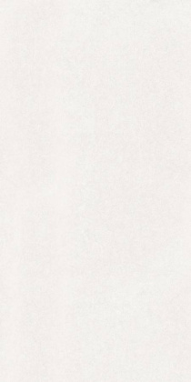 GT1206016603MDR2 Керамогранит Lavina_GT Белый 60x120 _ботаника 1\40,32