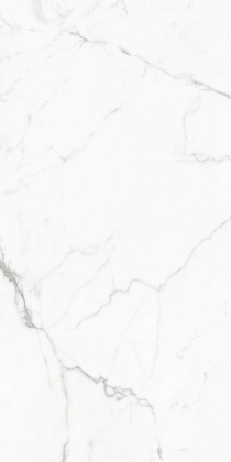 GT120604803PR Керамогранит Elegant Statuario_GT Бел. 60x120 полир._ 1\43,2 GT120604803PR Керамогранит Elegant Statuario_GT Бел. 60x120 полир._ 1\43,2