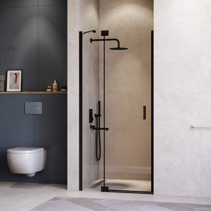 Душевая дверь 120*200 RGW HO-014-B Чёрный/Прозрачное/8 мм (EasyClean)