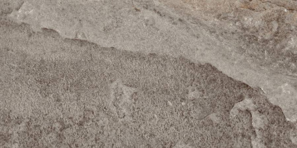 Керамогранит RC01 30,6x60,9x8 Непол.