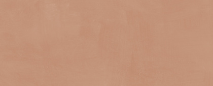 Каннареджо оранжевый матовый 20x50x0,8