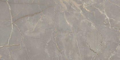 Керамогранит BR03 60x120x10 Полир. Керамогранит BR03 60x120x10 Полир.