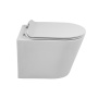 FLAY-R Чаша унитаза подвесного безободкового, P-trap BB053CHR