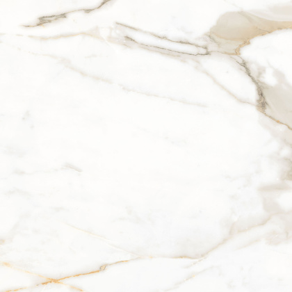Calacatta Superior Керамогранит белый 60х60 Матовый Calacatta Superior Керамогранит белый 60х60 Матовый