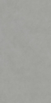 Керамогранит DD590900R Про Чементо серый (238,5см*119,5см*11мм) (1шт/2,85м2) матовый обрезной, м2 Керамогранит DD590900R Про Чементо серый (238,5см*119,5см*11мм) (1шт/2,85м2) матовый обрезной, м2