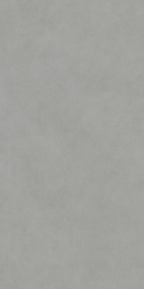Керамогранит DD590900R Про Чементо серый (238,5см*119,5см*11мм) (1шт/2,85м2) матовый обрезной, м2 Керамогранит DD590900R Про Чементо серый (238,5см*119,5см*11мм) (1шт/2,85м2) матовый обрезной, м2