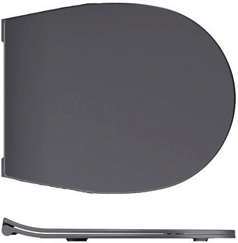 Крышка-сиденье для унитаза Allen Brau Reality 4.32007.AN антрацит Крышка-сиденье для унитаза Allen Brau Reality 4.32007.AN антрацит