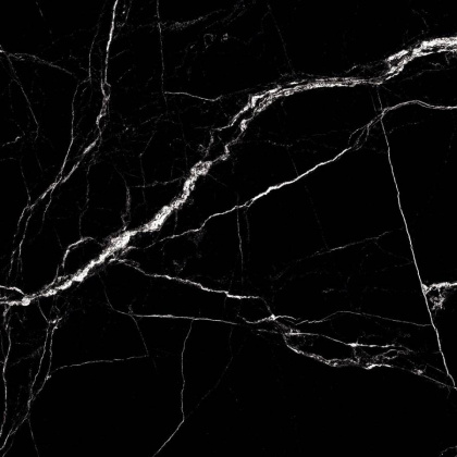 Керамогранит FOSSIL SLATE 60х60 HIGH GLOSS, Oasis Керамогранит FOSSIL SLATE 60х60 HIGH GLOSS, Oasis