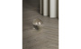 Керамогранит SoftWood Греж 20х80