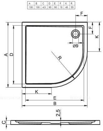 Акриловый душевой поддон Riho Zurich 284 100x100 белый R55 DA9200500000000 Акриловый душевой поддон Riho Zurich 284 100x100 белый R55 DA9200500000000