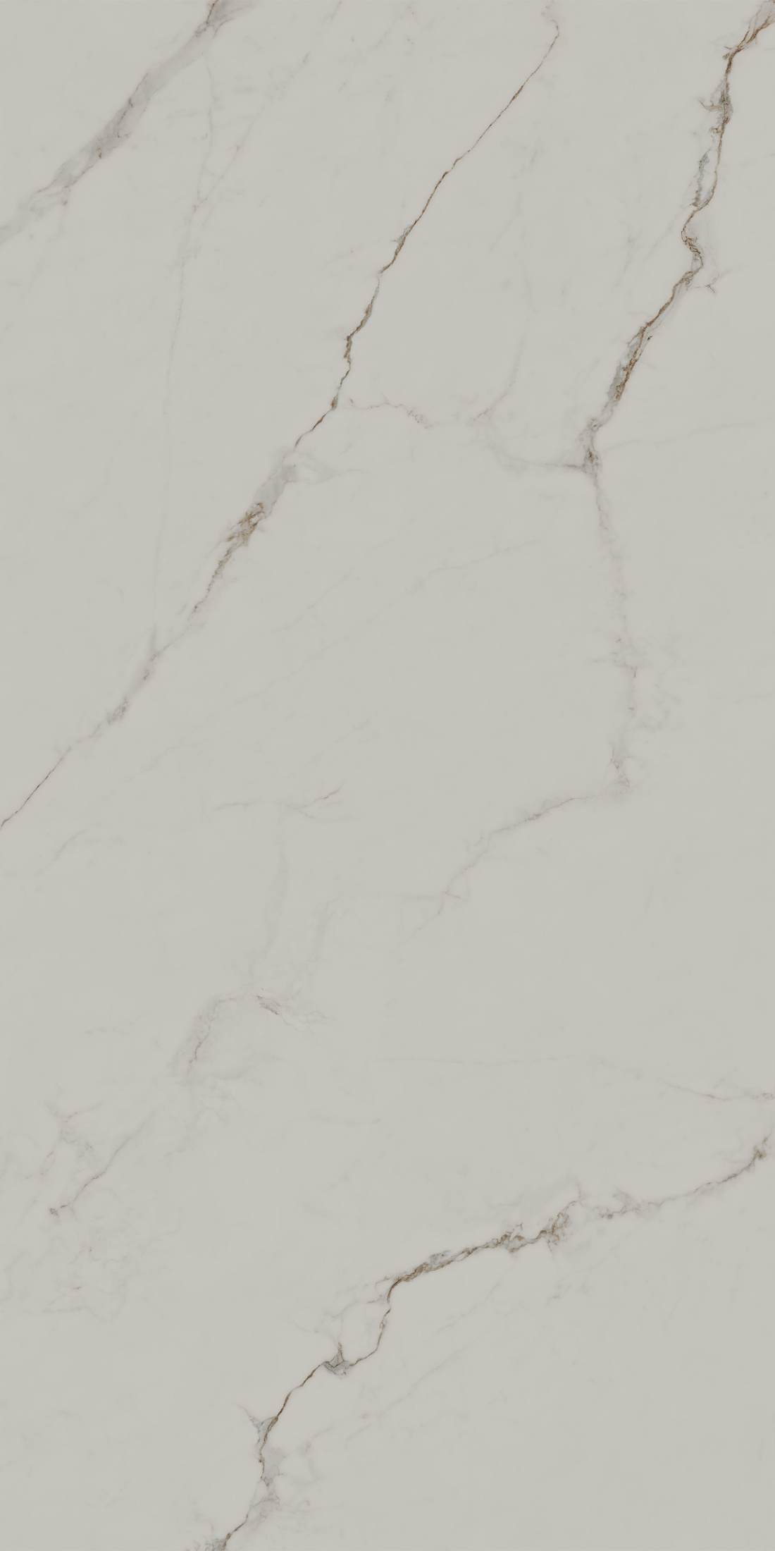 Монте Тиберио бежевый светлый матовый обрезной 80x160x0,9