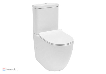 Чаша напольного унитаза Aquanet Rimless Cetus-C1 BL-102N-TPT