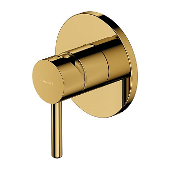 Смеситель для душа скрытого монтажа OMNIRES Y Y1245GL (золото) 
