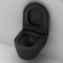 C8F1700MBSC Func подвесной унитаз 49 см FlashClean с сиденьем микролифт, черн мат C8F1700MBSC Func подвесной унитаз 49 см FlashClean с сиденьем микролифт, черн мат