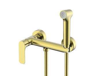 Смеситель Raglo настенный с гигиеническим душем R03.51.03