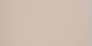 GT028М 600х1200 матовый GT028М 600х1200 матовый