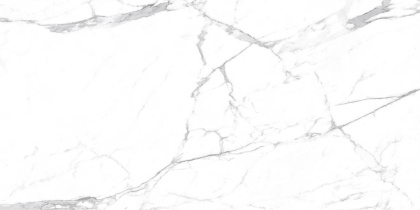 Carrara Terrific Silver Керамогранит белый 60х120 Матовый
