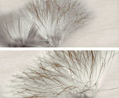 Декор Set(2) Base Acero 20х50 Декор Set(2) Base Acero 20х50