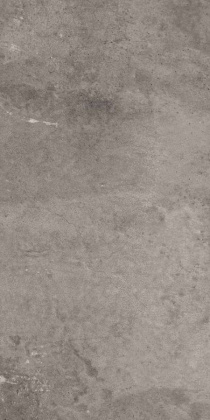 EE03 30,6x60,9x8 Непол. (Керамический гранит)