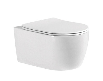 Подвесной унитаз Акватек Европа AQ1106-00 Подвесной унитаз Акватек Европа AQ1106-00