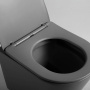 Унитаз подвесной Piatti VT1-11SMA, цвет антрацит матовый, ультратонкое soft-close сиденье Унитаз подвесной Piatti VT1-11SMA, цвет антрацит матовый, ультратонкое soft-close сиденье