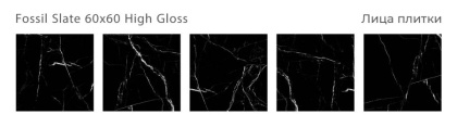 Керамогранит FOSSIL SLATE 60х60 HIGH GLOSS, Oasis Керамогранит FOSSIL SLATE 60х60 HIGH GLOSS, Oasis