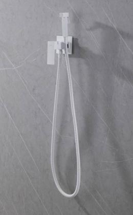 Смеситель ABBER Daheim AF8226W с гигиеническим душем,белый матовый Смеситель ABBER Daheim AF8226W с гигиеническим душем,белый матовый