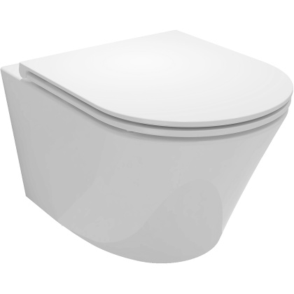 Унитаз EDY102-00 Jacob Delafon  Rodin+ белый подвесной, шт Унитаз EDY102-00 Jacob Delafon  Rodin+ белый подвесной, шт