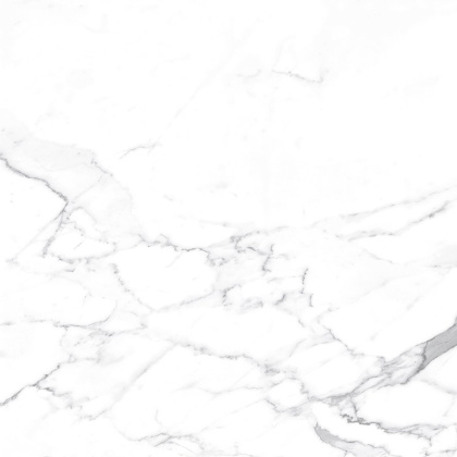 Carrara Terrific Silver Керамогранит белый 60х60 Матовый Carrara Terrific Silver Керамогранит белый 60х60 Матовый