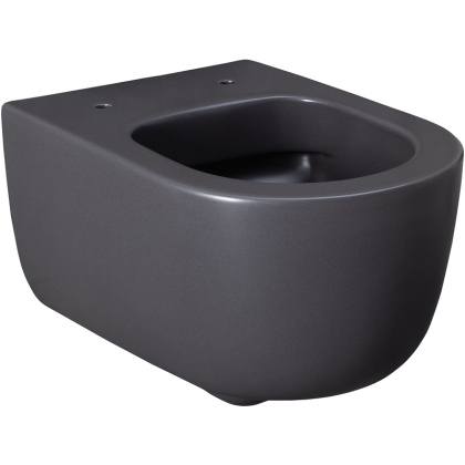 Чаша подвесного унитаза Allen Brau Priority 4.31002.AN антрацит Чаша подвесного унитаза Allen Brau Priority 4.31002.AN антрацит