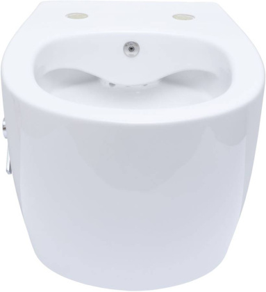 Подвесной унитаз Allen Brau Fantasy 4.11HC1.20 Подвесной унитаз Allen Brau Fantasy 4.11HC1.20