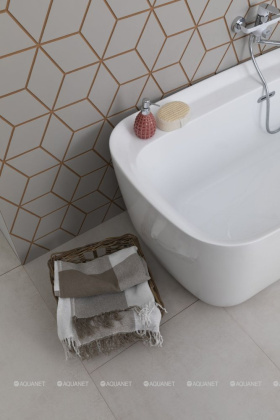 Акриловая ванна Aquanet Family Fine 170x78 95778 Matt Finish Акриловая ванна Aquanet Family Fine 170x78 95778 Matt Finish