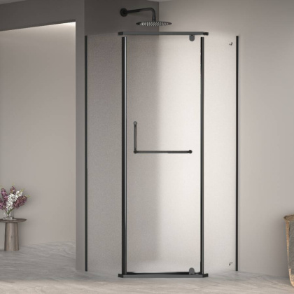 Душевой уголок 120*120*195 RGW PA-081 B Трапеция/Чёрный/Матовое/6 мм (Easy)