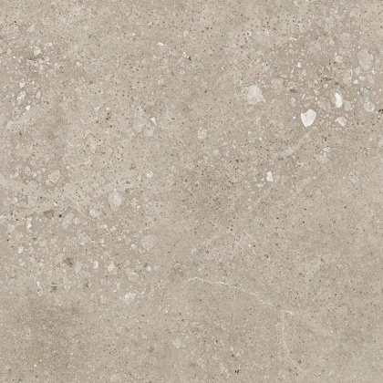 Harley Керамогранит бежевый 50х50 матовый