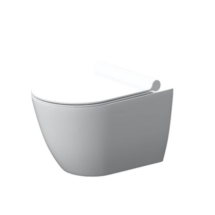 DX22C1700SC Apollo Унитаз подвесной без ободка с сиденьем микролифт DX22C1700SC Apollo Унитаз подвесной без ободка с сиденьем микролифт