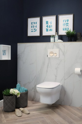 Унитаз подвесной Jacob Delafon Vox EDM102-00, шт Унитаз подвесной Jacob Delafon Vox EDM102-00, шт