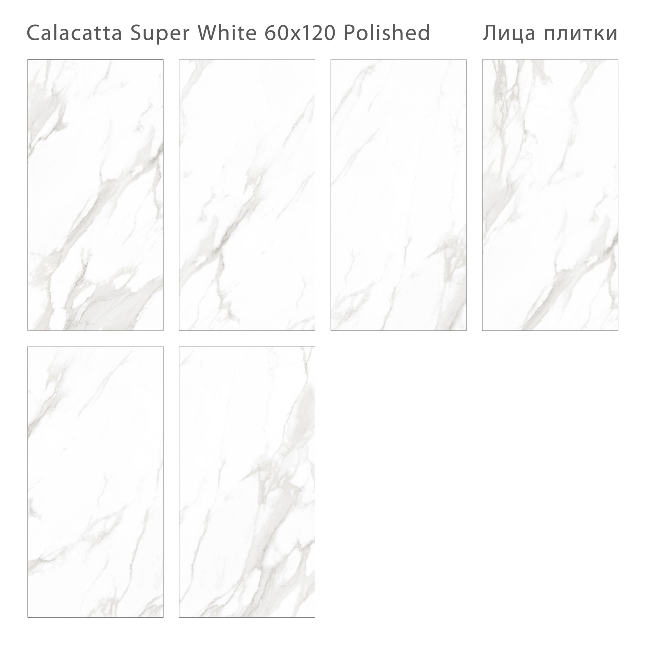 Плитка Calacatta Super White 60x120 Polished (2 шт.в уп)