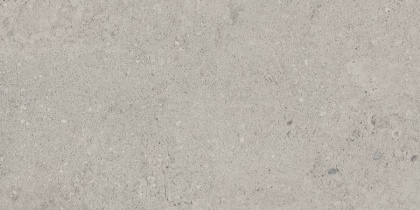 Керамогранит NP01 30,6x60,9x8 Непол.