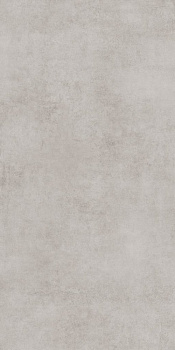 GT120600506MCR Плитка грес глаз. Stardust_GT Светло-сер. 60*120 карвинг_ 1 \43,2