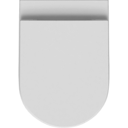 Приставной унитаз Allen Brau Reality 4.32004.20