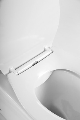 Крышка-сиденье BelBagno Сидения и комплектующие BB2020-1SC Крышка-сиденье BelBagno Сидения и комплектующие BB2020-1SC